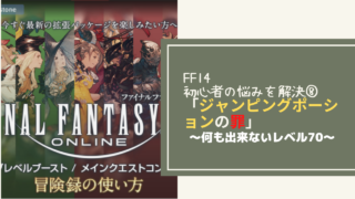 Ff14 キャラメイクは何が重要 キャラメイクの基礎知識 Amemiya Memo