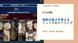 Ff14 キャラメイクは何が重要 キャラメイクの基礎知識 Amemiya Memo